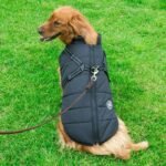 Dog Clothes Chest Back Integrated Cotton Vest Pet Cotton Clothes Winter Clothes - Image 3