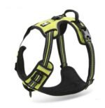 Truelove Pet Adjustable Safety Reflective Nylon Harness for Big Medium Large Dogs - Image 5
