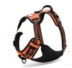Truelove Pet Adjustable Safety Reflective Nylon Harness for Big Medium Large Dogs - Image 8