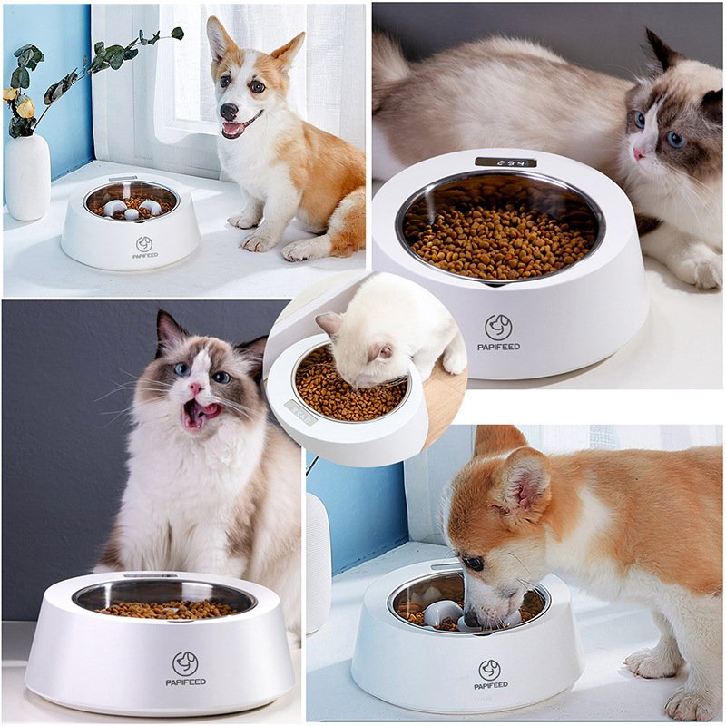 3638842859652.jpg Pet Dog Bowl Slow Feeder Dog Food Bowl Smart Weighing Dog Slow Feeder Cat Pet Feeder - Image 5