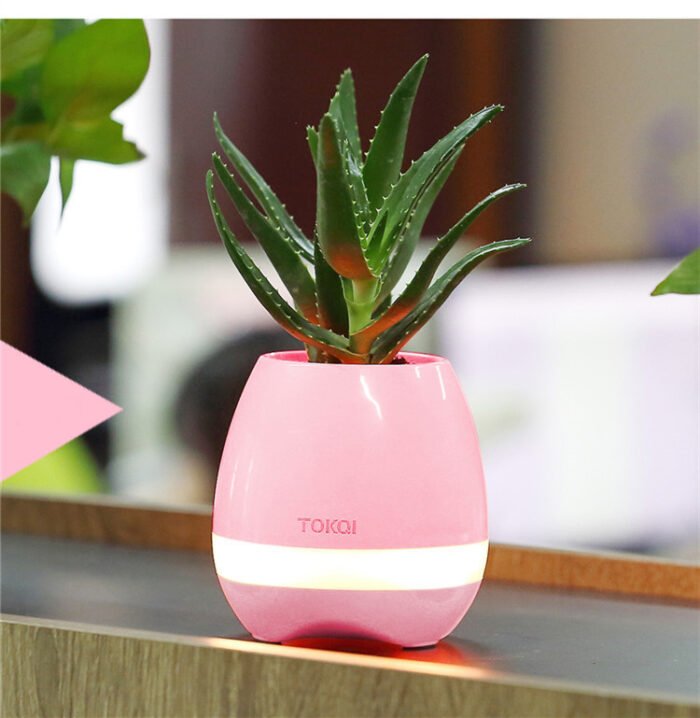 Touch-sensitive music vase desktop audio - Image 4
