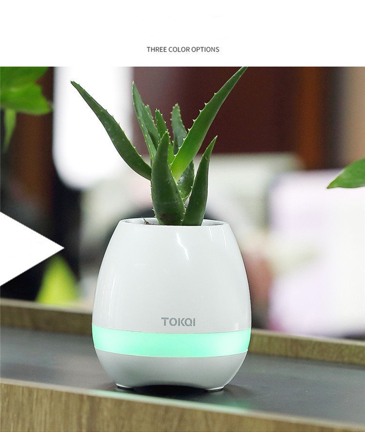 497951276779.jpg Touch-sensitive music vase desktop audio - Image 2