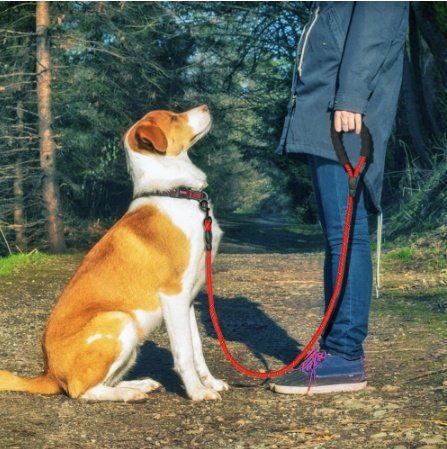 540262471694.jpg Reflective Dog Leash Nylon Pet Dog Leash Rope For Small Medium Large Dogs Walking Training Pet Suppiles - Image 1