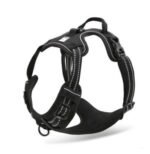Truelove Pet Adjustable Safety Reflective Nylon Harness for Big Medium Large Dogs - Image 2