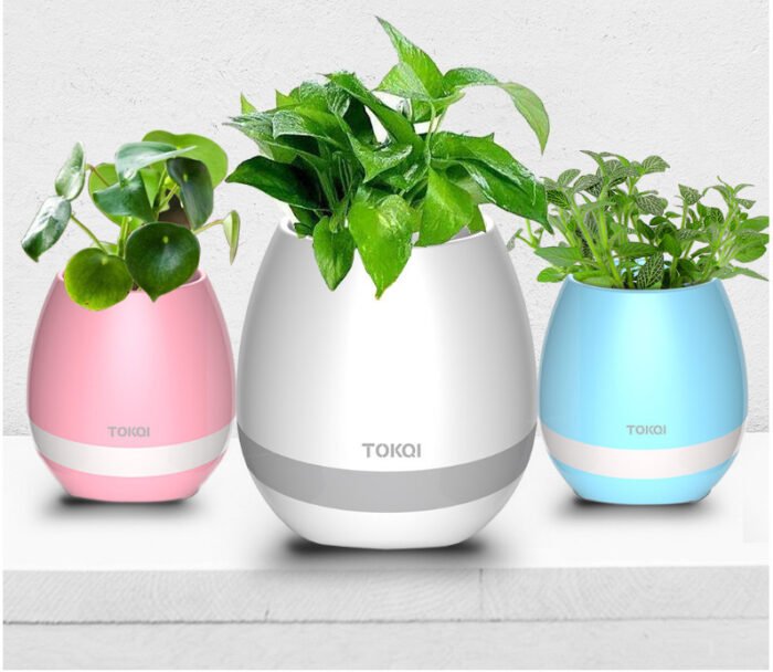 Touch-sensitive music vase desktop audio - Image 1