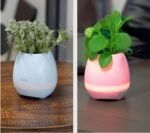 Touch-sensitive music vase desktop audio - Image 6
