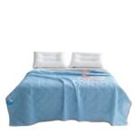 Cool Silk Summer Quilt Solid Color Printing Airable Cover - Image 5