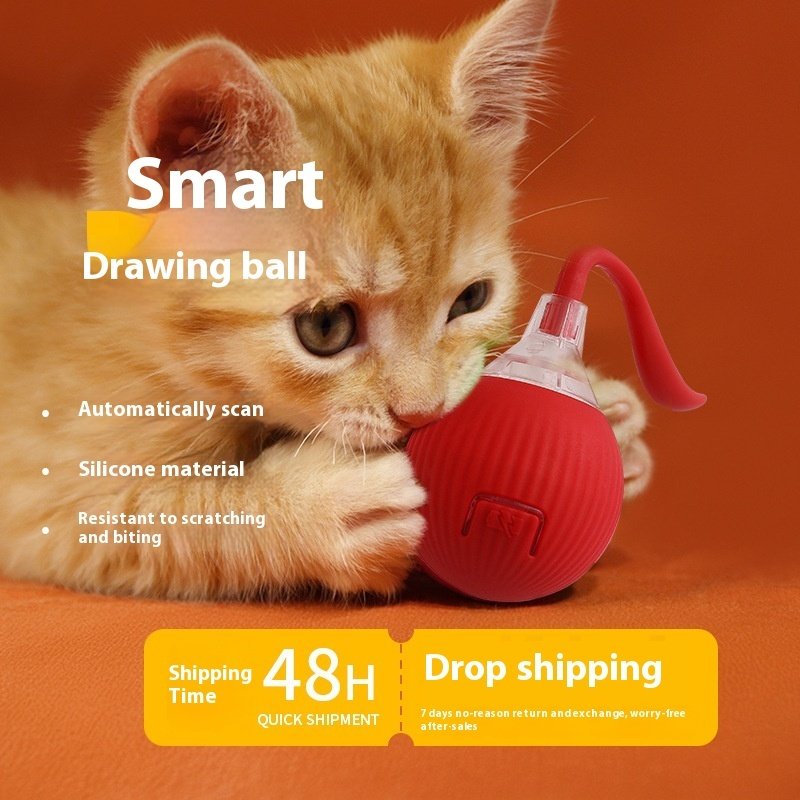 dc94f86d-2e74-45a4-92da-fcdbaee84d7f_trans.jpeg Interactive Cat Toy Ball Super Drive Cat Rolling Ball - Image 4