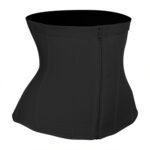 Plus Size Zipper Breasted 9 Bone Waist Seal Corset - Image 6